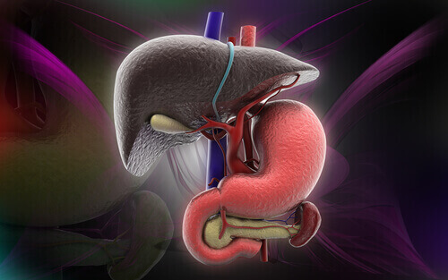 ознаки жирової хвороби печінки