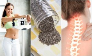 Неймовірна користь насіння чіа для організму
