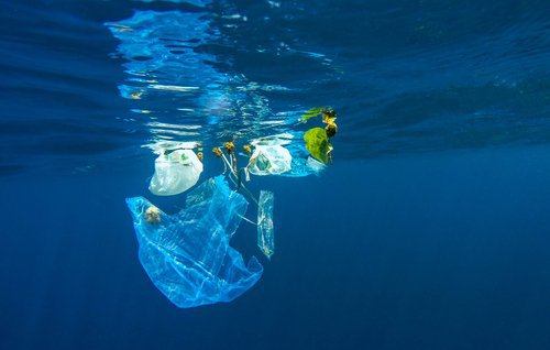 пластик забруднює океани