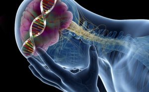 Низький рівень серотоніну: 9 несподіваних наслідків