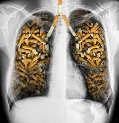 вплив тютюну на легені