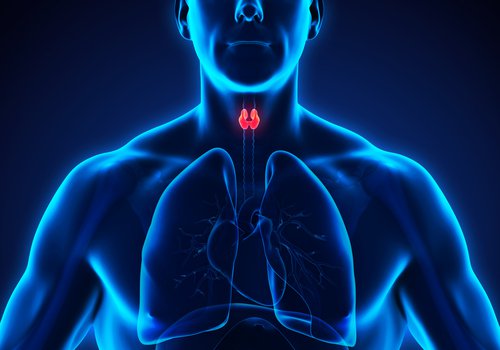 що таке гіпотиреоз