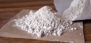 Діатоміт допомагає позбутися бліх