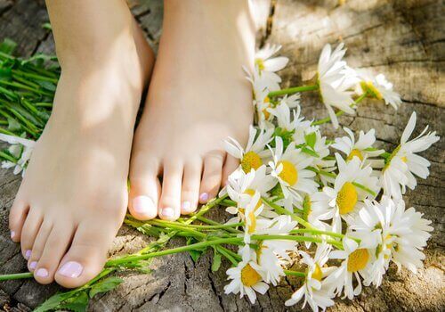 ромашка робить шкіру гладкою