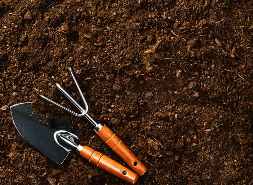 грунт для чорниці