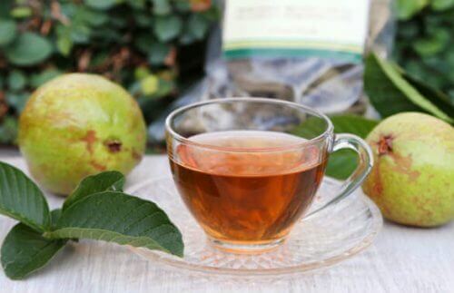 чай з листя гуаяви, щоб знизити рівень цукру в крові