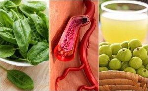 7 продуктів для стимуляції вироблення тромбоцитів