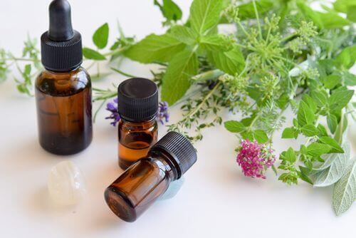 засоби з розмарином для профілактики кандидозу