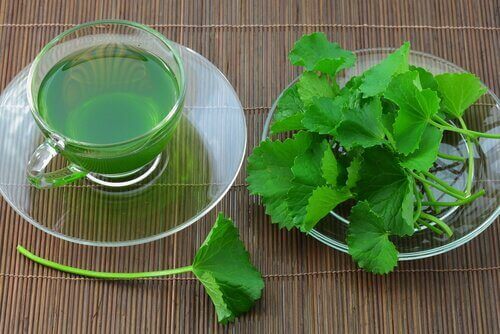 чай з селери для очищення організму