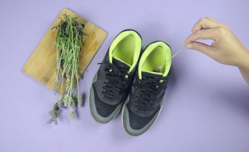 лаванда допоможе уникнути запаху взуття