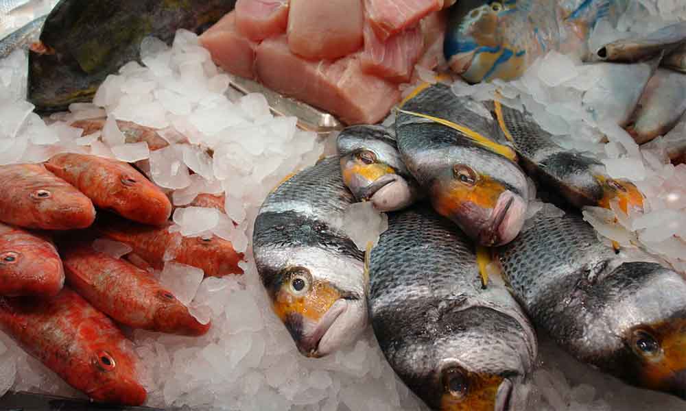 небезпечна риба містить ртуть