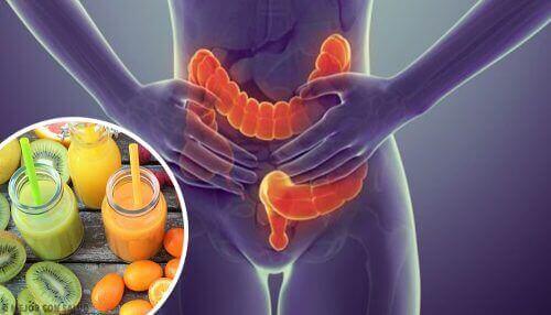 5 ідеальних продуктів для очищення товстої кишки