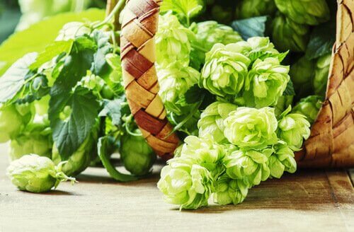 хміль від безсоння