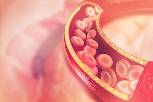 жирні кислоти омега 3 в крові