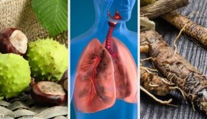 4 домашні засоби для покращення дихання і зміцнення легень