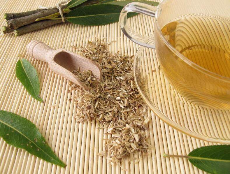 верба, щоб збільшити кровообіг