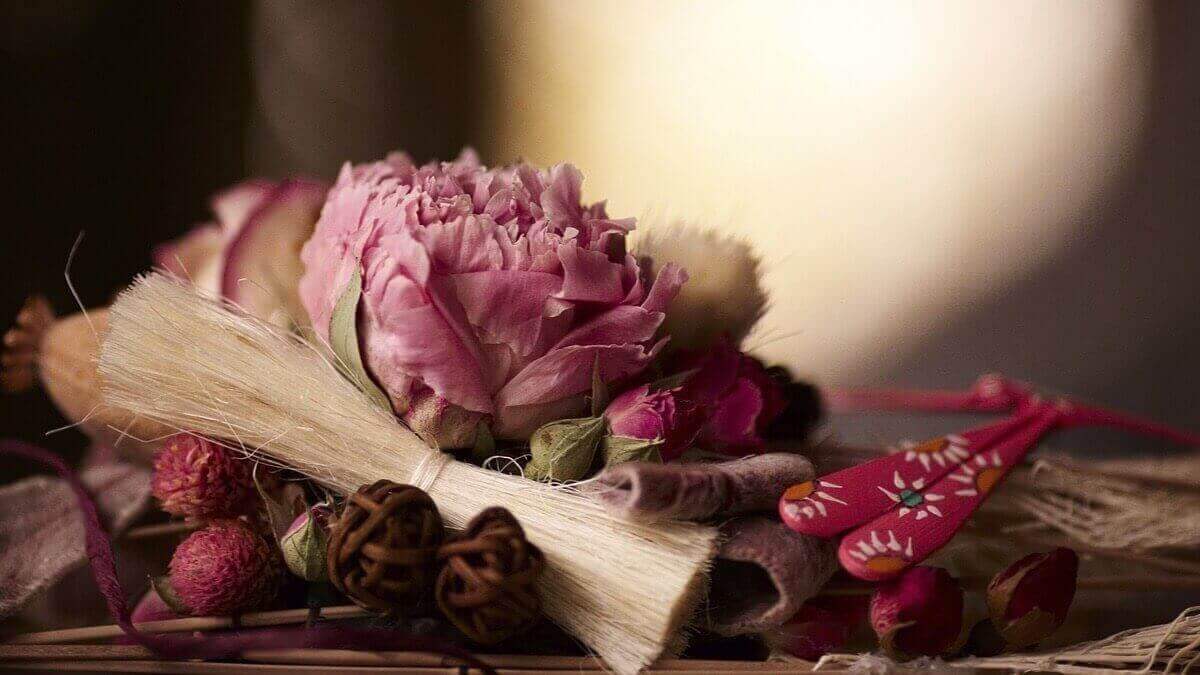 засушені квіти