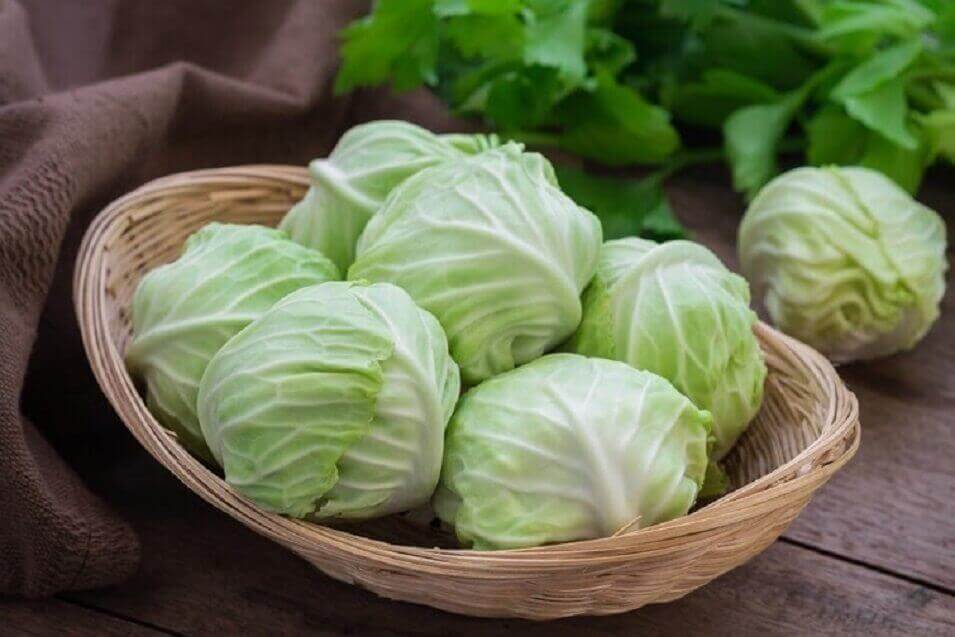 капуста може зменшити грижу