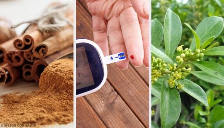 5 рослинних засобів для лікування діабету