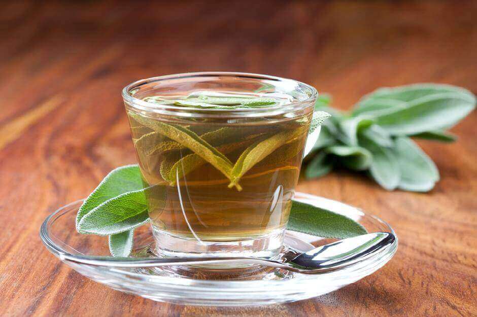 шавлія для лікування хворого горла