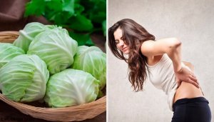 Засіб з глиною, оцтом і капустою, щоб зменшити грижу