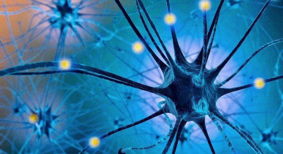 що таке серотонінова дієта