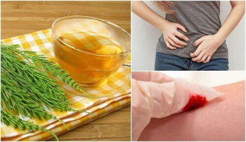 лікувальні властивості хвоща