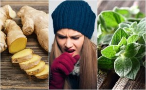 5 рослин, які допоможуть позбутися мокротиння