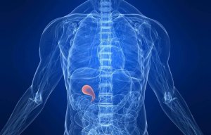 Правильна дієта після холецистектомії або видалення жовчного міхура