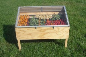 Методи засушування харчових продуктів вдома