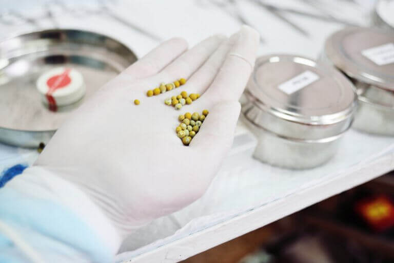 Жовчні камені: корисна дієта, щоб їх позбутися