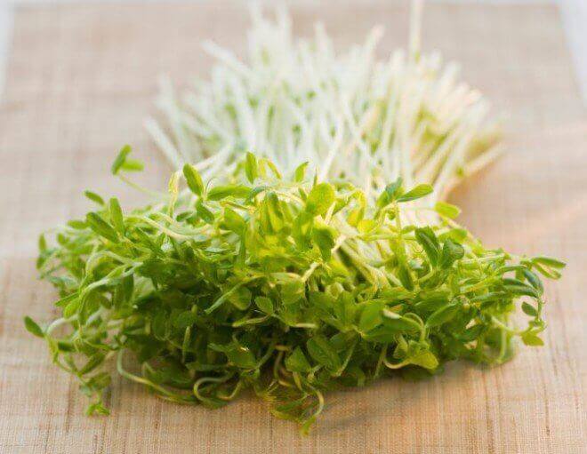 засоби проти розтяжок з люцерною