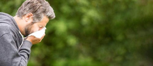 Природні засоби для полегшення алергії