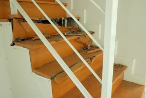 Як позбутися термітів в своєму будинку