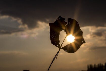 Чим більша емоційна рана, тим глибше ми ховаємо біль