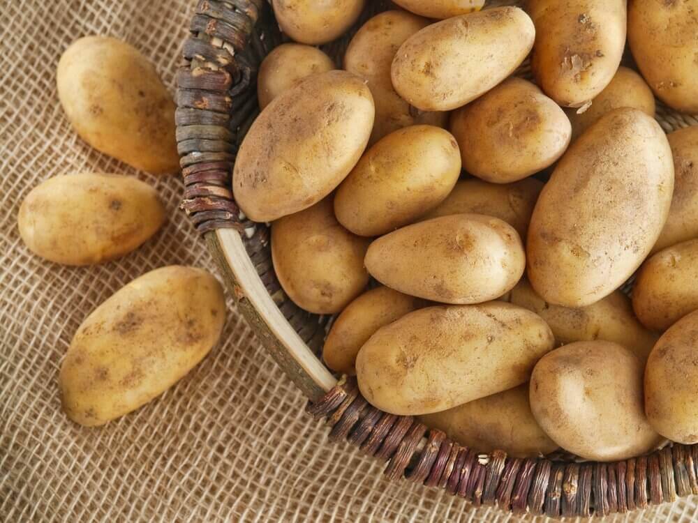 домашня картопля, фарширована чорізо та сиром