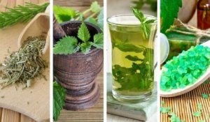 Найкращі шампуні з натуральних інгредієнтів