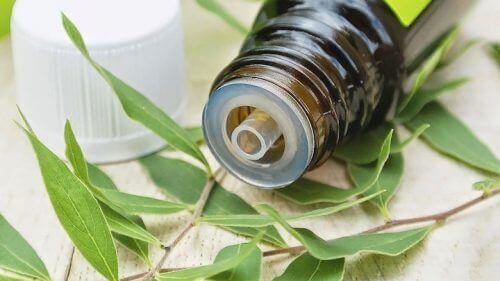 олія чайного дерева для усунення симптомів бактеріального вагінозу