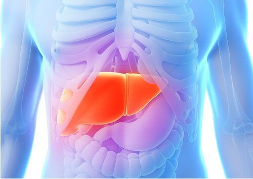 чому корисна дієта з артишоками