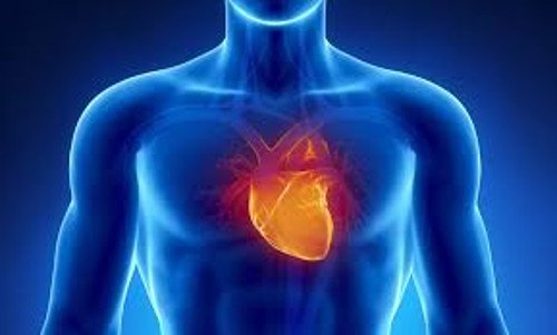 порушення у роботі серцево-судинної системи