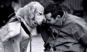 Заведіть собаку, щоб подолати сум за домівкою