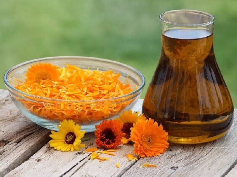 календула