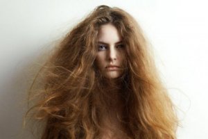 5 натуральних інгредієнтів для лікування сухого волосся