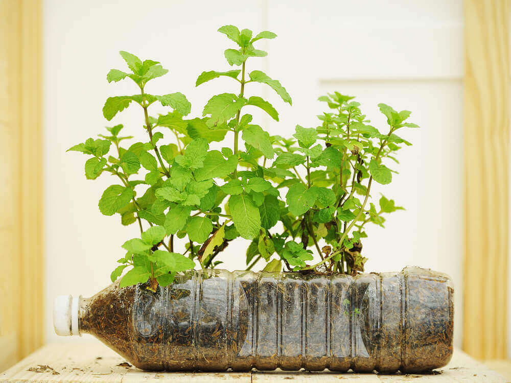 горщик з пластикових пляшок