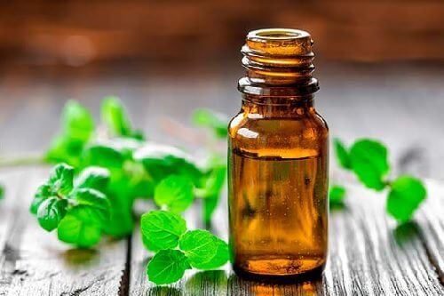 олія з м'яти