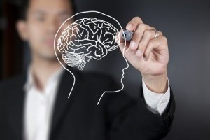 Вчені виявили частину мозку, яка стає зрілою у 36 років