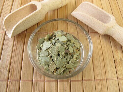 евкаліпт від сухості у горлі