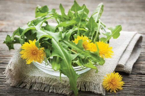 кульбаба для зниження артеріального тиску