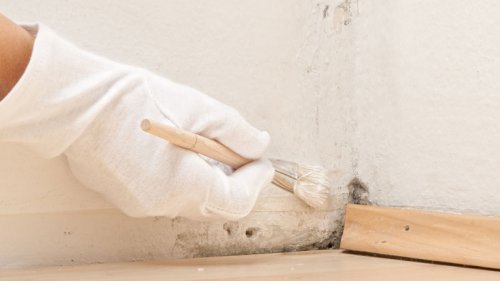 волога і багато мікробів