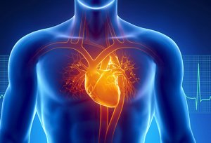 Як надмірна робота впливає на здоров'я серця